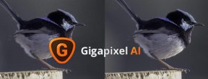 A.I Gigapixel