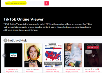 TikTok Online Viewer